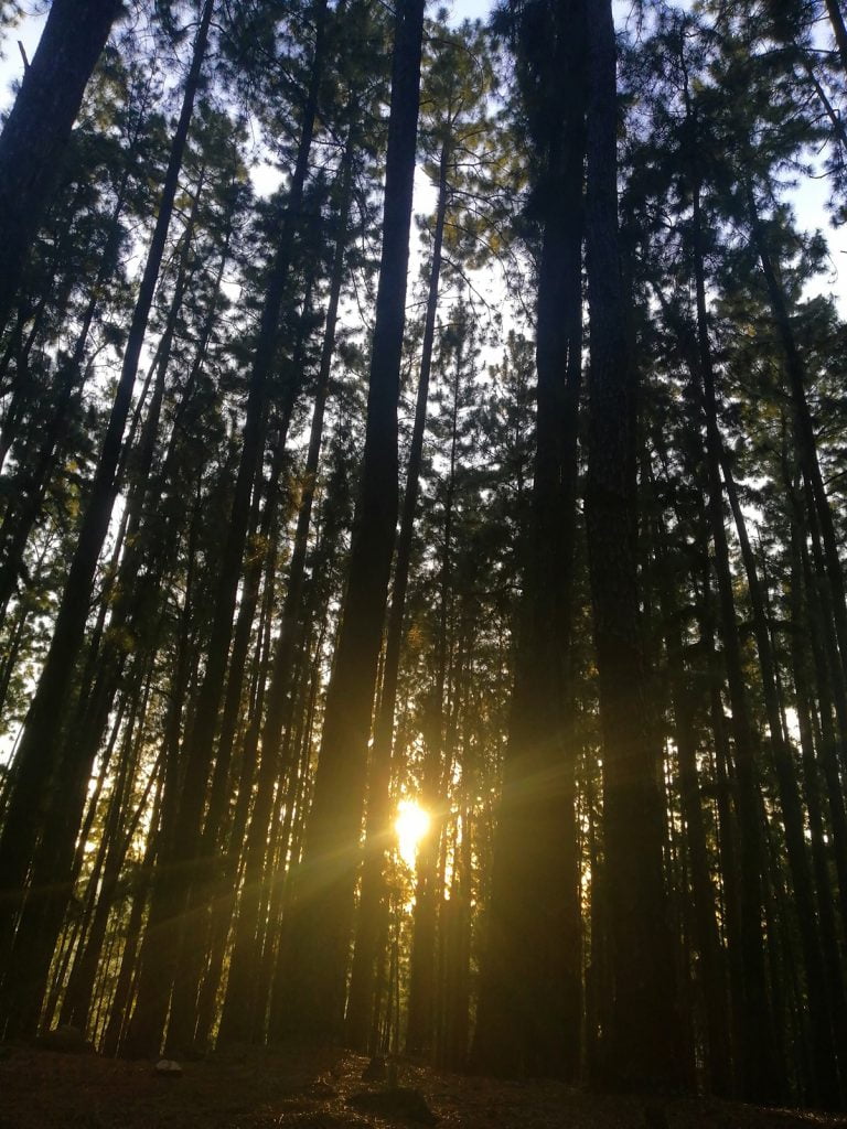 Wangedigala Camping