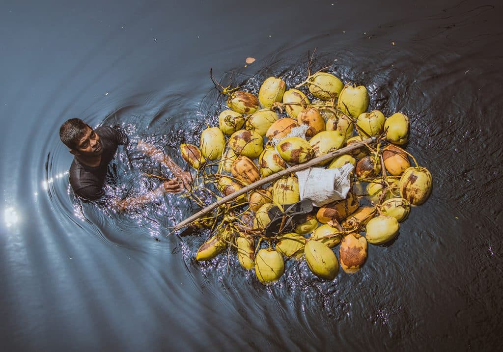 King Coconut, Sri Lanka