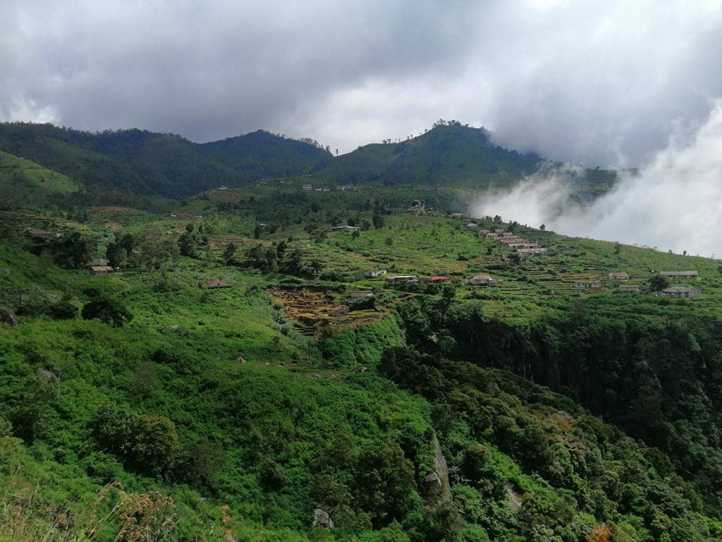 Travel to Wangedigala