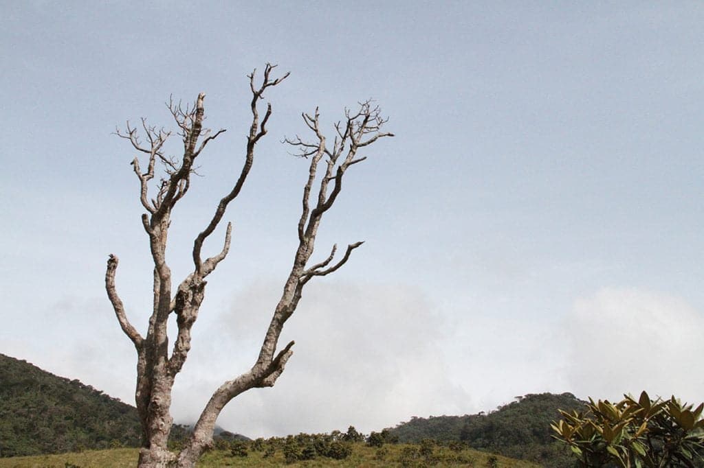Horton Plains, Sri Lanka