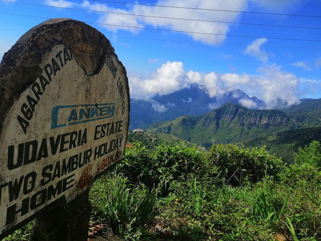 Travel to Wangedigala