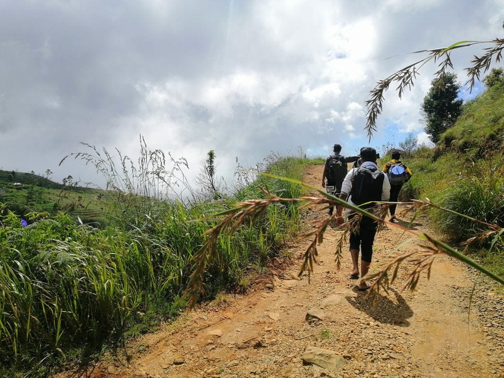 Travel to Wangedigala