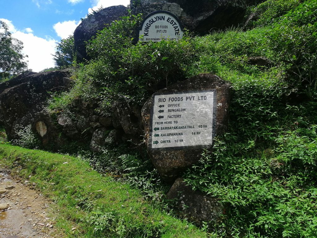 Travel to Wangedigala