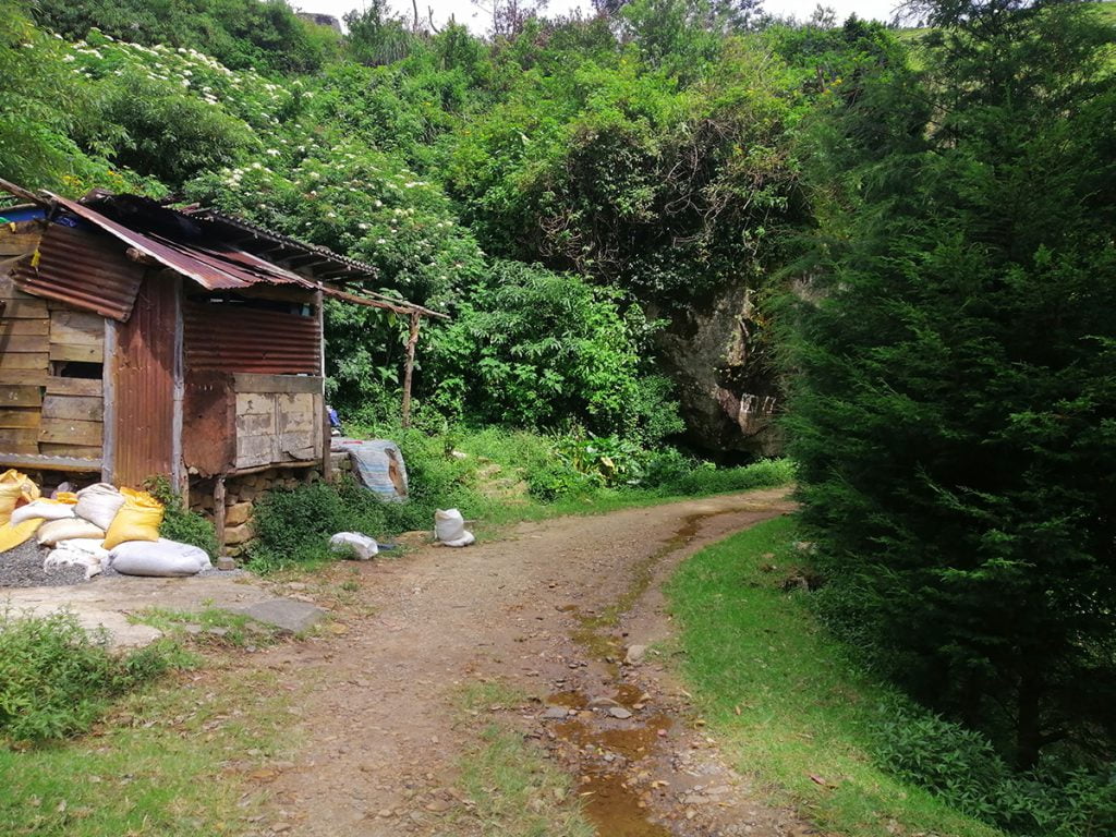 Travel to Wangedigala