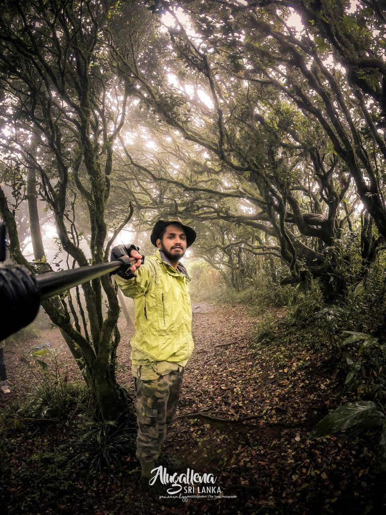 Knuckles Mountain Range