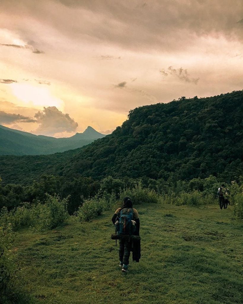 Knuckles Mountain Range