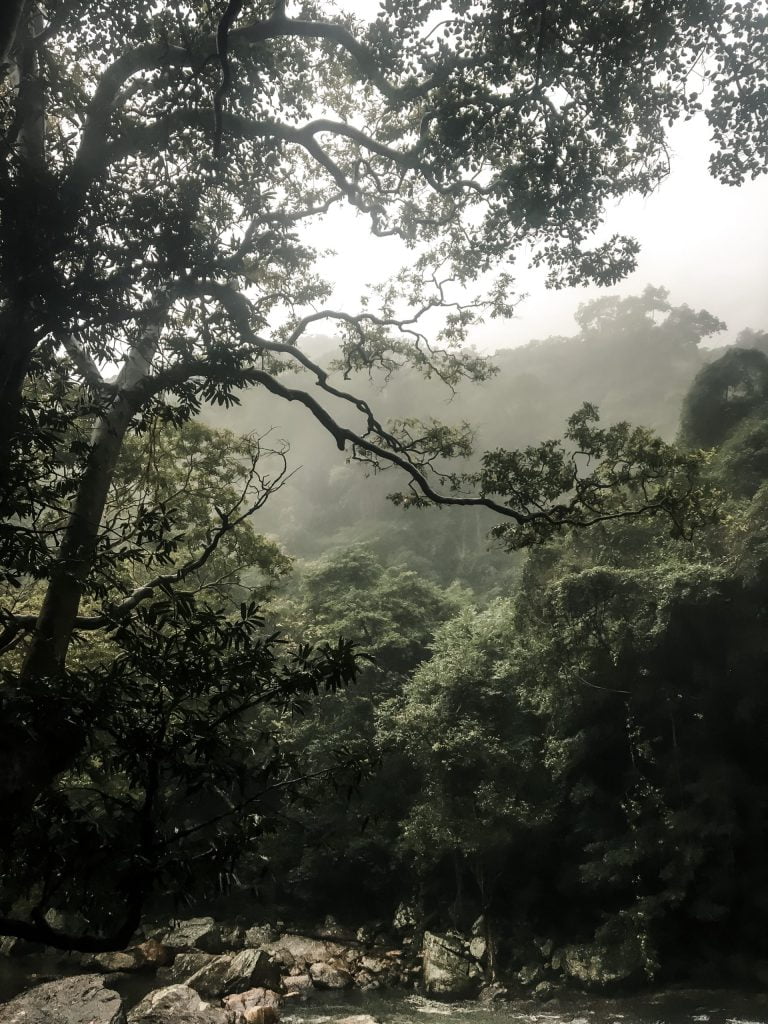 Knuckles Mountain Range