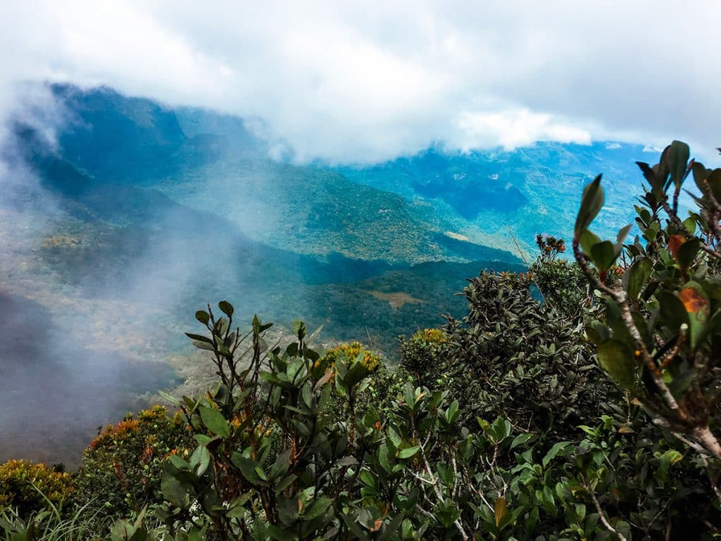 Knuckles Mountain Range