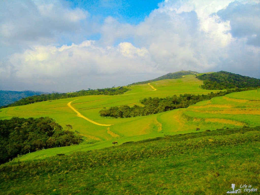 Sandathanna, Sri Lanka