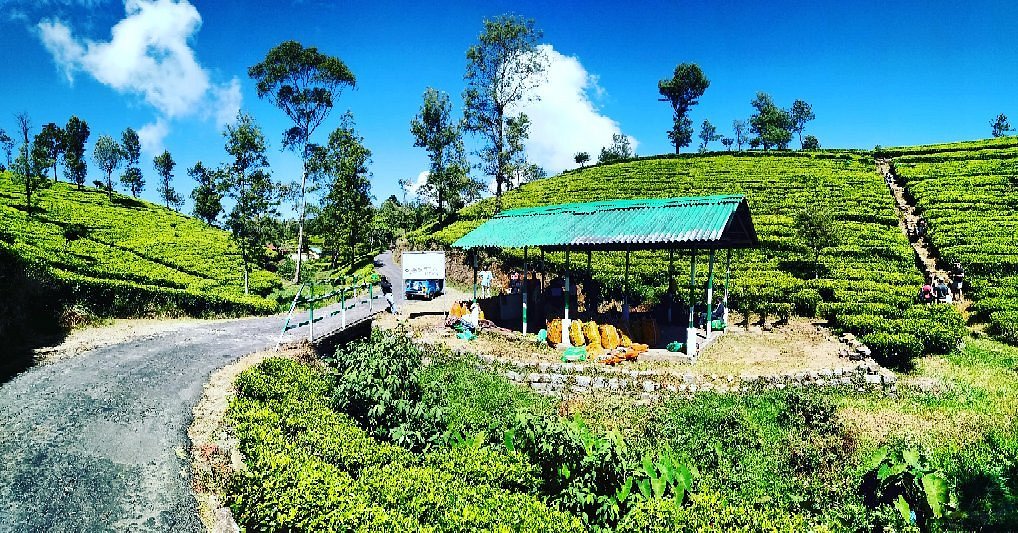 Lipton’s Seat, Sri Lanka