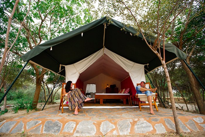 Wildlife Camping at Yala National Park